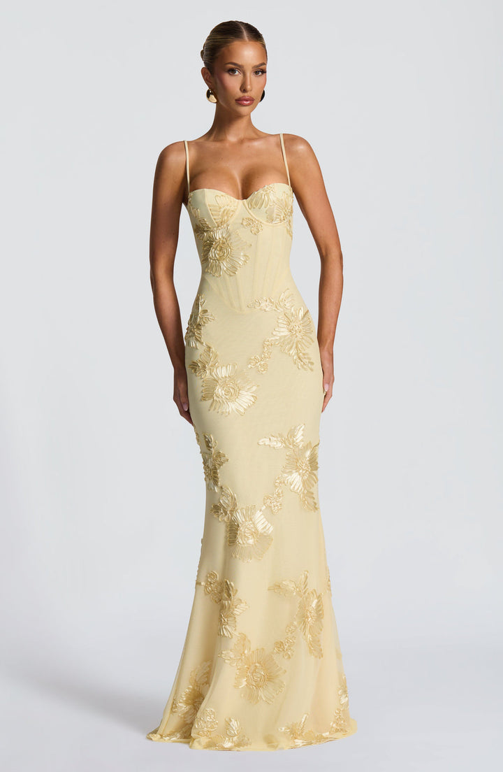 Vicara - Jacquard Corset Maxi Kleid