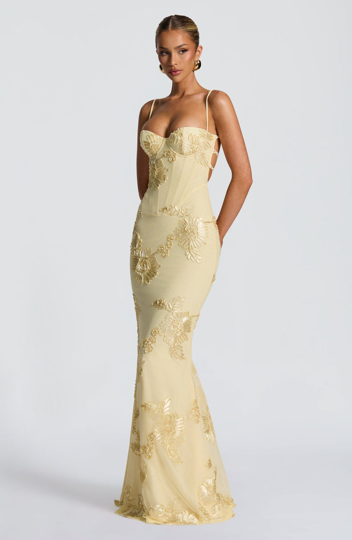 Vicara - Jacquard Corset Maxi Kleid