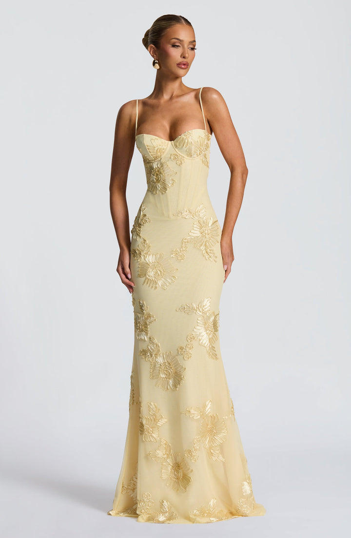 Vicara - Jacquard Corset Maxi Kleid